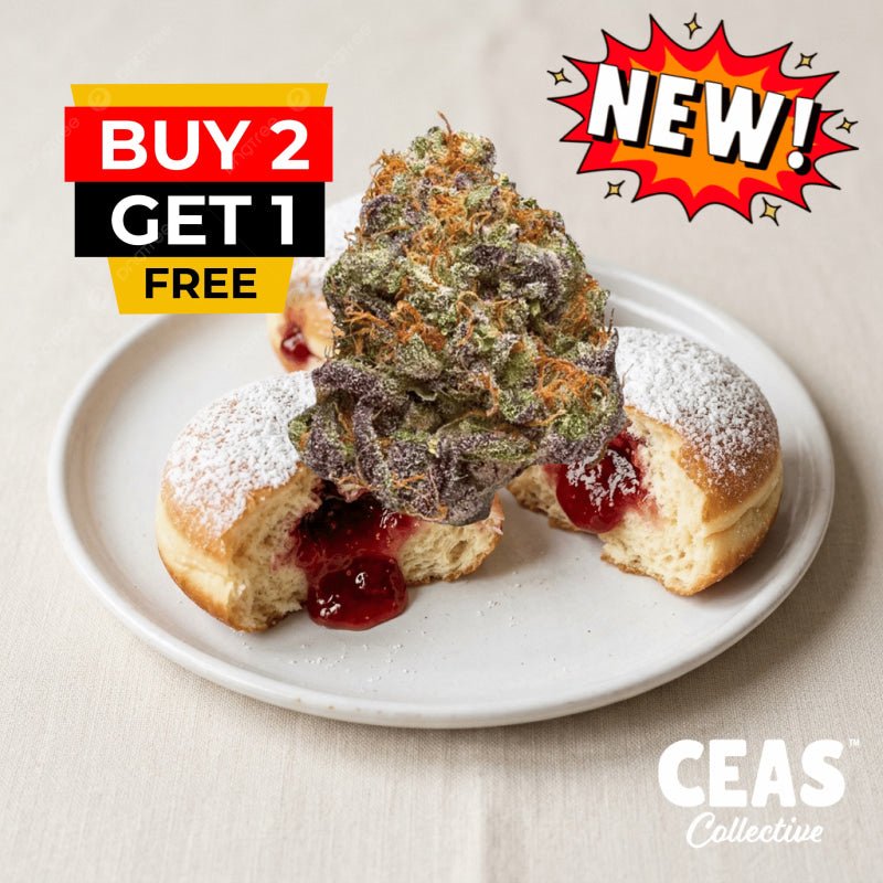 Jelly Donutz - 7g CEAS Exotics