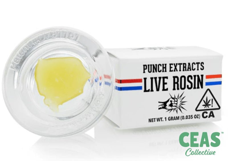 Jelly Pie - Tier 4 Live Rosin Badder - Punch Extracts