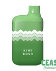 Kiwi Kush - AIO TEMPO - PUNCH Vapes