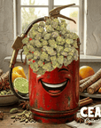 Laughing Gas (Smalls) 7g – CEAS