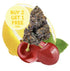Lemon Cherry Gelato 7g - CEAS Exotics