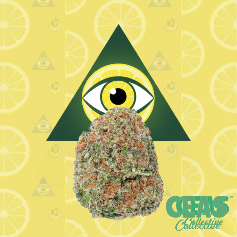 Lemonatti 7g - CEAS Exotics