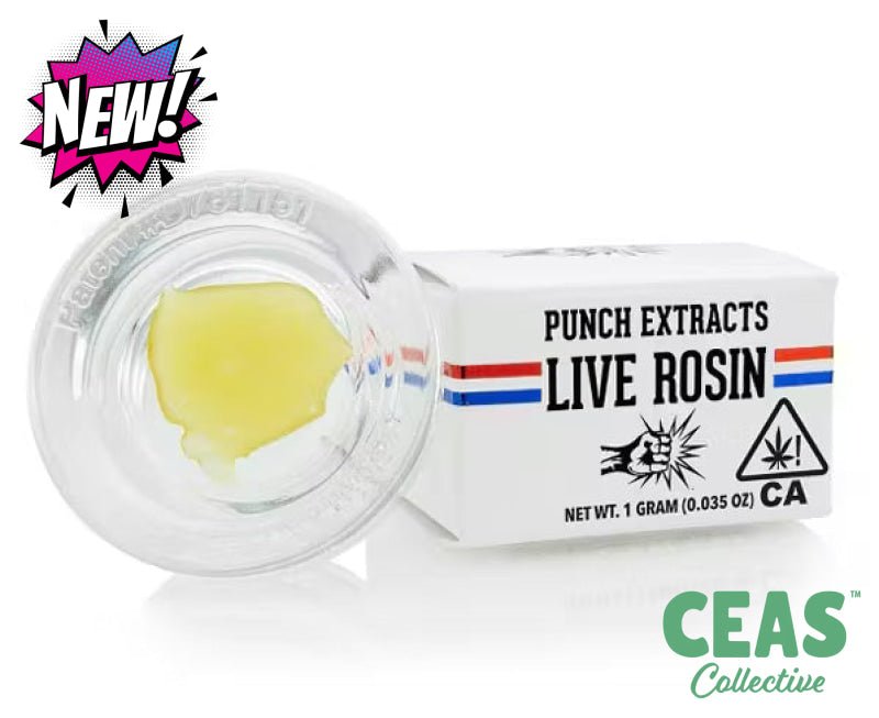 Lime Daiquiri - Tier 4 Live Rosin - PUNCH