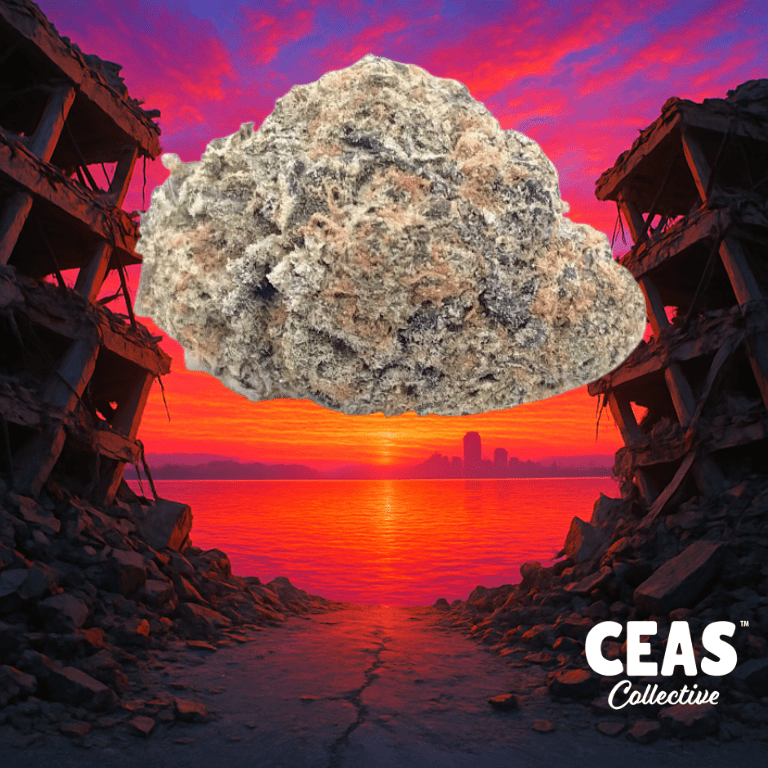 Loma Prieta - 7g CEAS Exotics