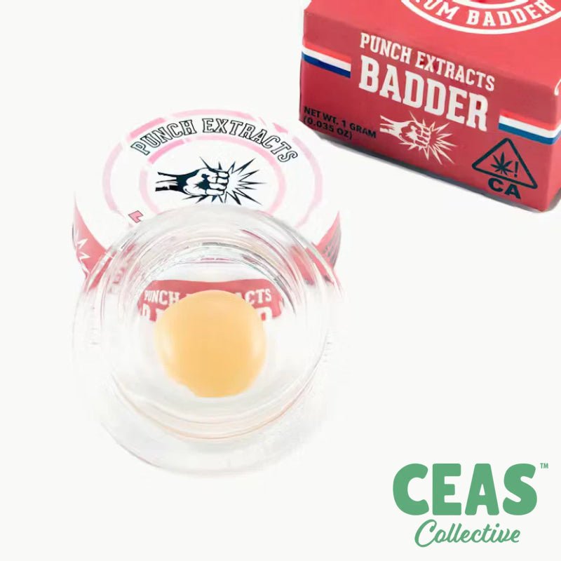 Lotta - BHO Badder - PUNCH