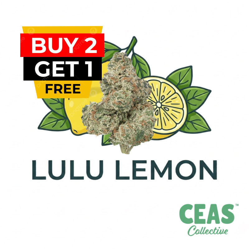 Lulu Lemon 7g