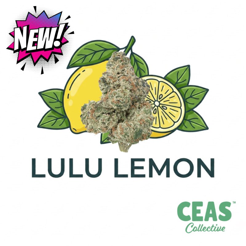 Lulu Lemon 7g - CEAS Exotics