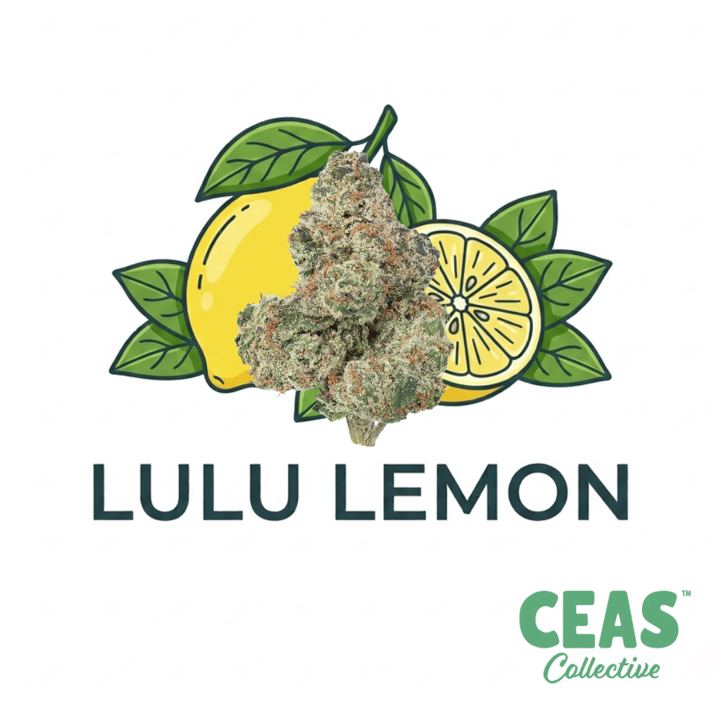 Lulu Lemon 7g - CEAS Exotics
