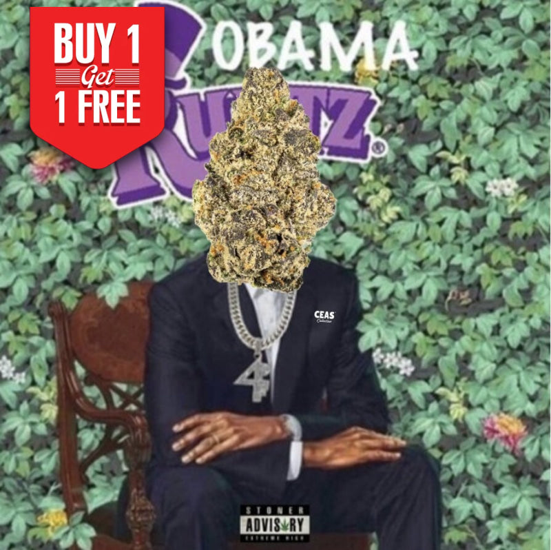 Obama Runtz 7g - CEAS Exotics