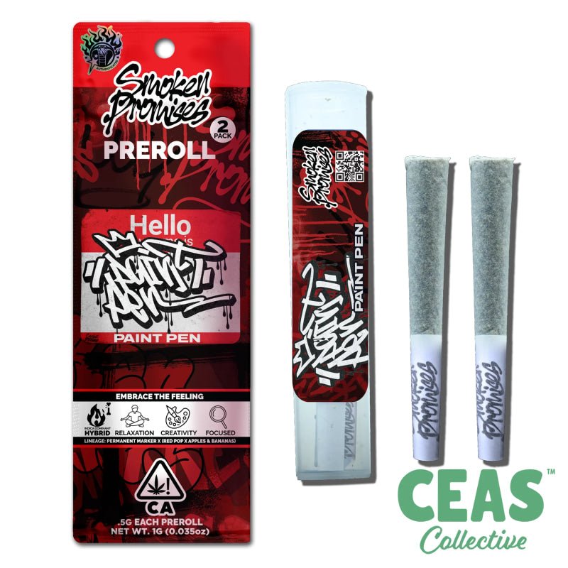 Paint Pen 2x .5g Pre-Rolls - Smoken Promises