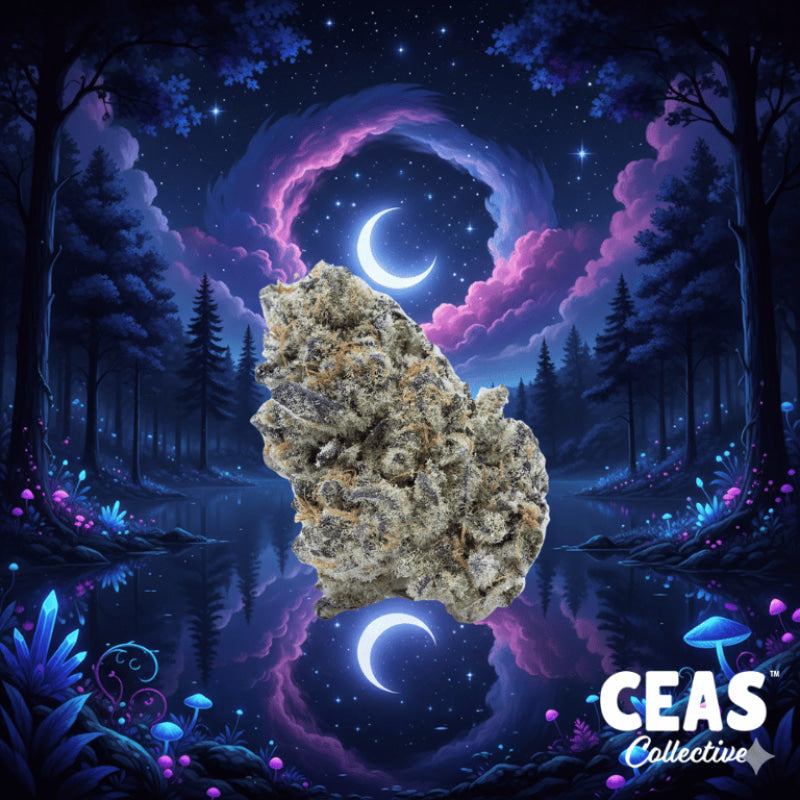 Permanent Midnight 7g - CEAS