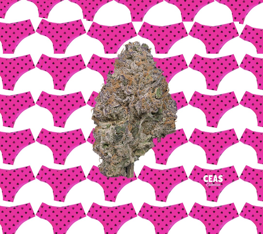 Pink Panties 7g - CEAS Exotics