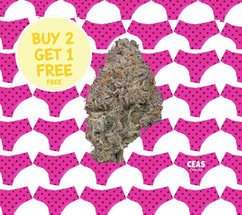 Pink Panties 7g - CEAS Exotics