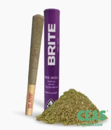 Purple Lantern - 1g Pre Roll - Brite Labs | CEAS Collective