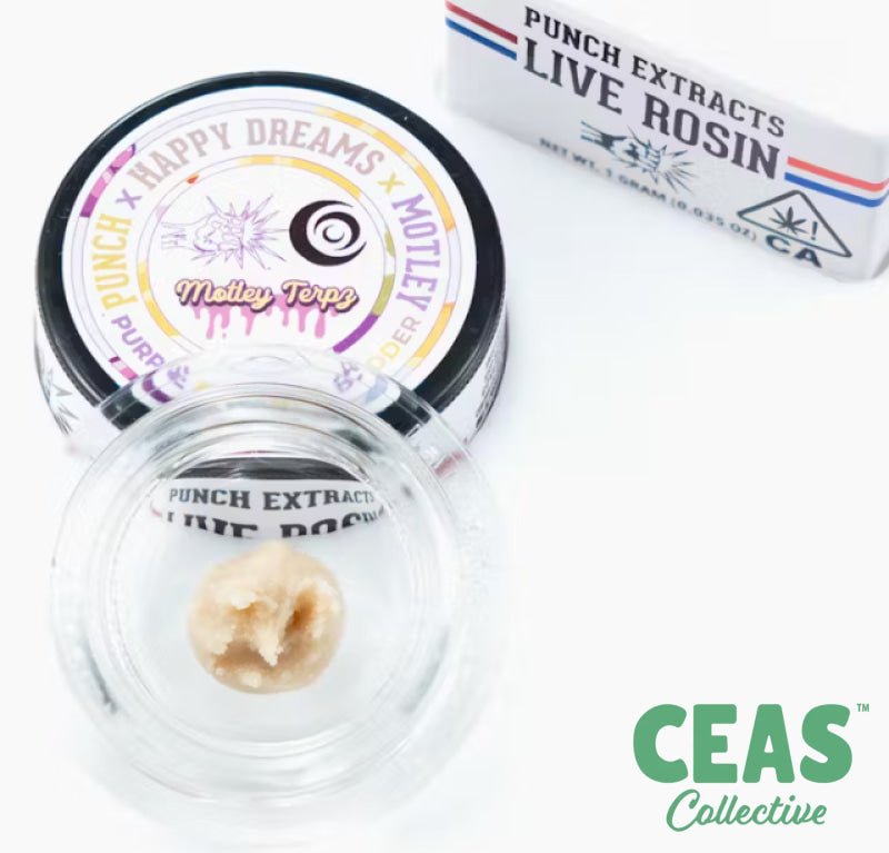 Purple Bananas - Tier 4 Live Rosin - Punch Extracts