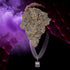 Purple Runtz - 7g CEAS Exotics