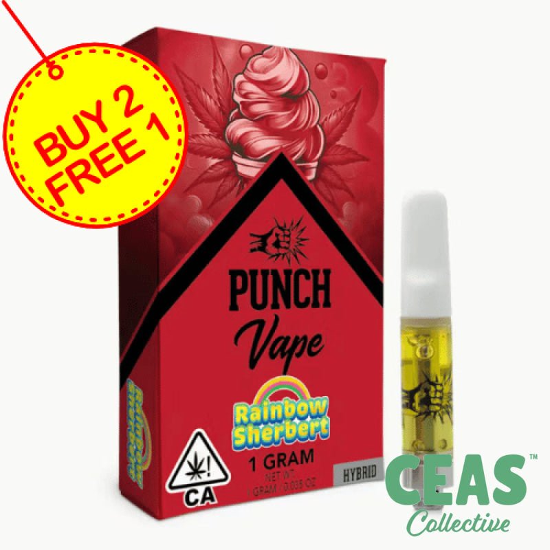 Rainbow Sherbet - Distillate Vape 1G - PUNCH