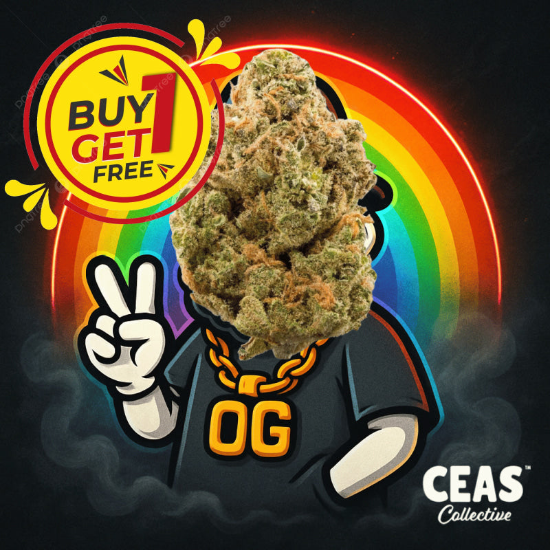 Rainbow OG 7g - CEAS Exotics