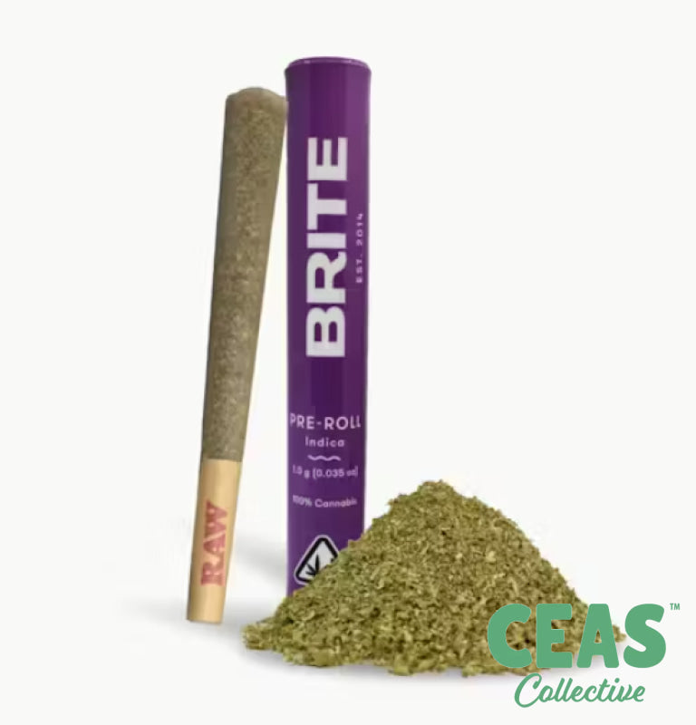 Rainbow Runtz - 1g Pre Roll - Brite Labs
