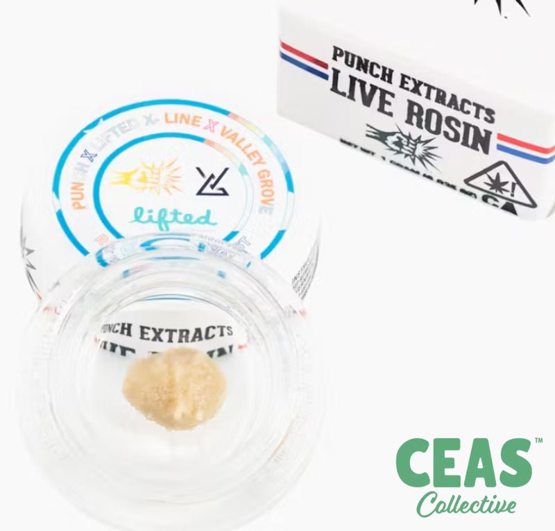 Rainbow Starburst x Fatso - Tier 4 Live Rosin - Punch Extracts