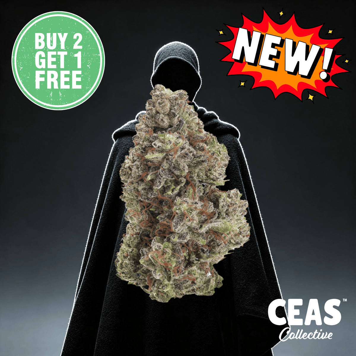 Skywalker OG 7G – CEAS Exotics