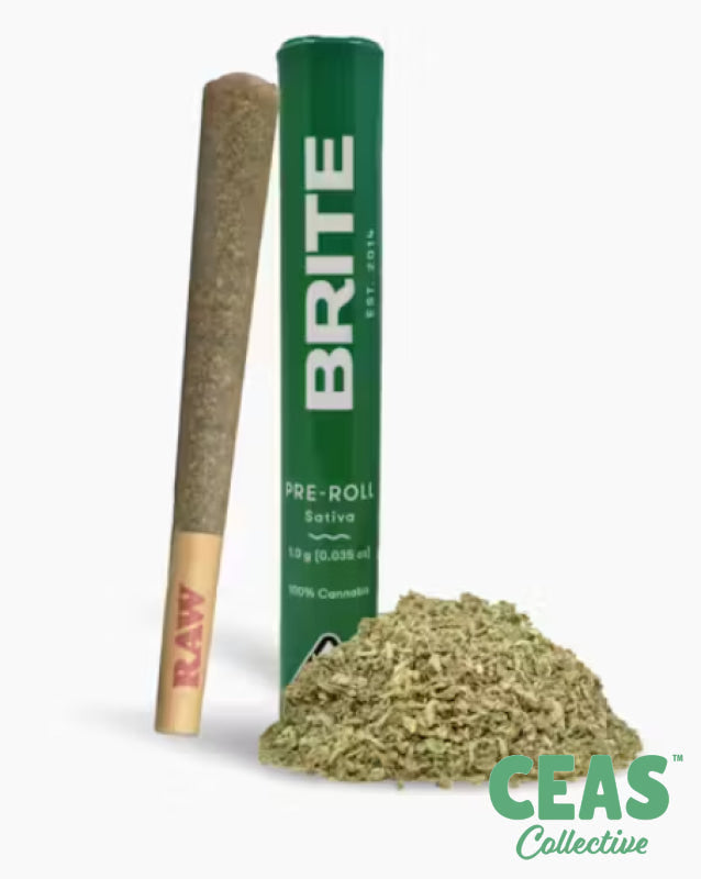 Sour Tangie - 1g Pre Roll - Brite Labs