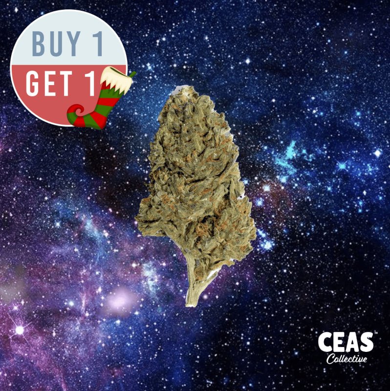 Space Rox - 7g CEAS