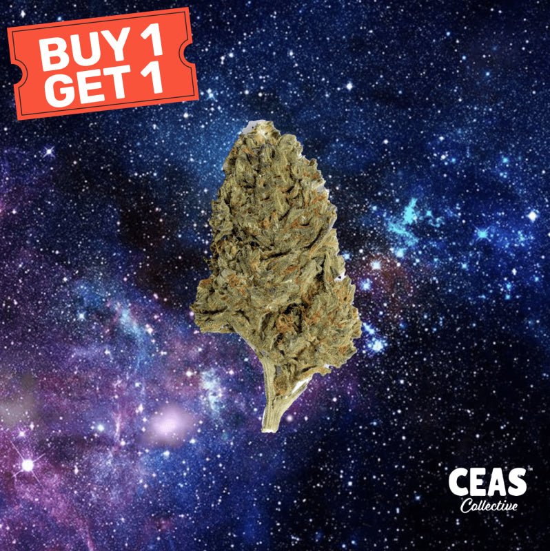 Space Rox - 7g CEAS