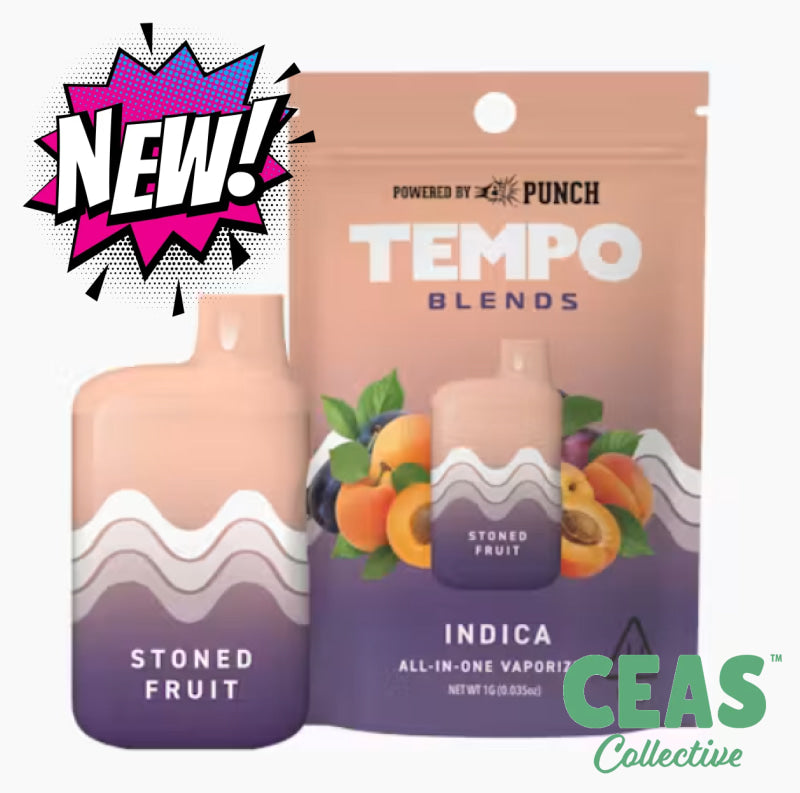 Stoned Fruit - AIO TEMPO - PUNCH Vapes