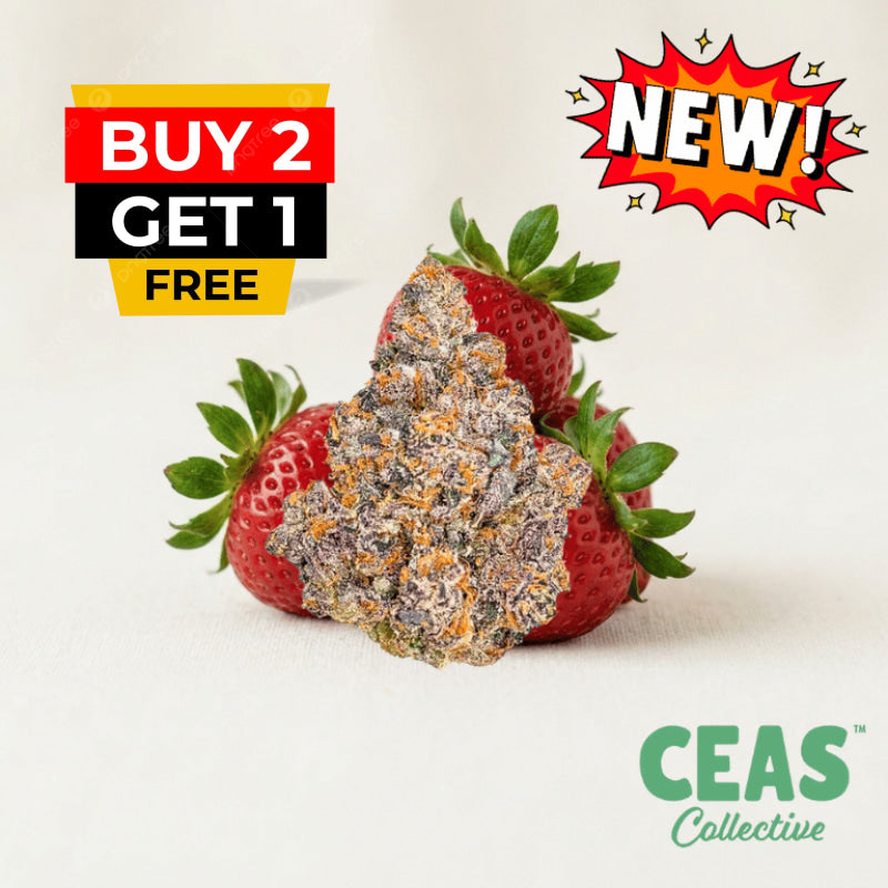Strawberry Runtz - 7g CEAS Exotics