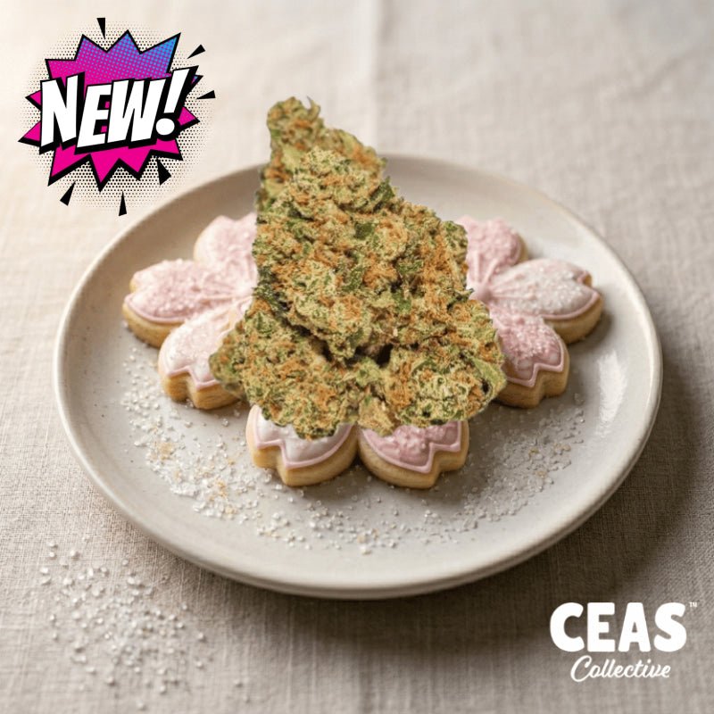 Sugar Cookies - 7g CEAS