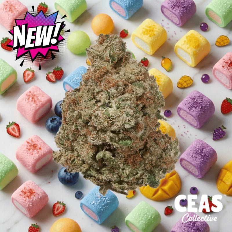 Sweet Chews 7g - CEAS Exotics