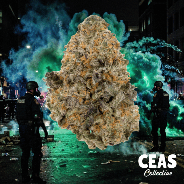 Tear Gas 7g - CEAS Exotics