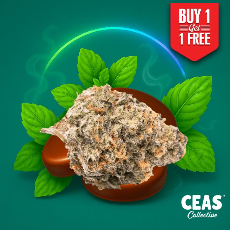 Thin Mintz 7g CEAS Exotics