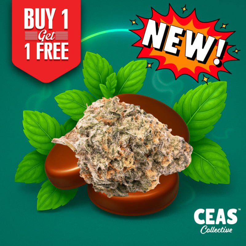 Thin Mintz 7g - CEAS Exotics
