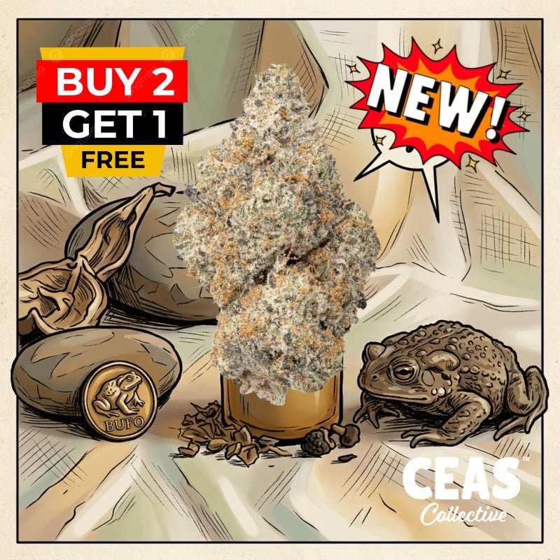 Toad Venom 7G – CEAS Exotics