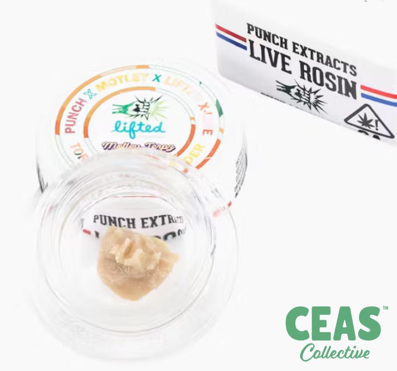 Toronja Jelly - Tier 4 Live Rosin - Punch Extracts