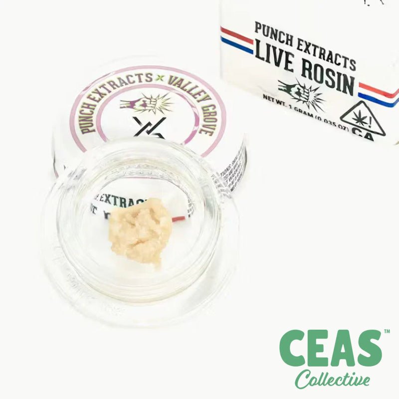 Trixx - Tier 4 Badder - PUNCH