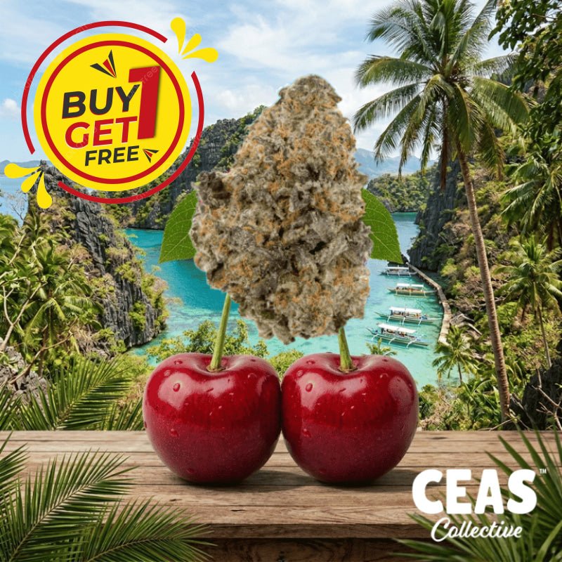 Trop Cherry 7g - CEAS Exotics