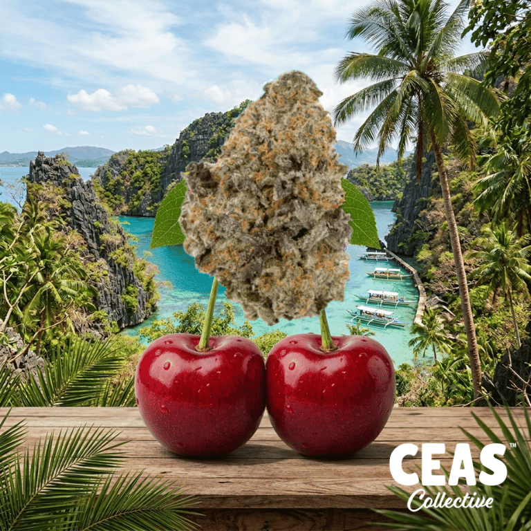 Trop Cherry 7g - CEAS Exotics