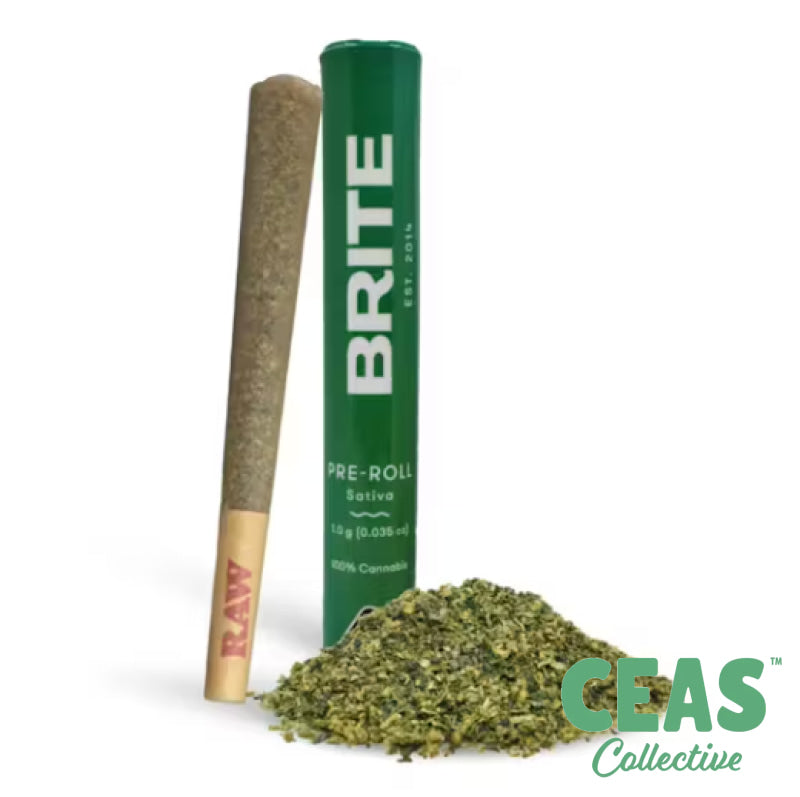 Tropical Runtz - 1g Pre Roll - Brite Labs