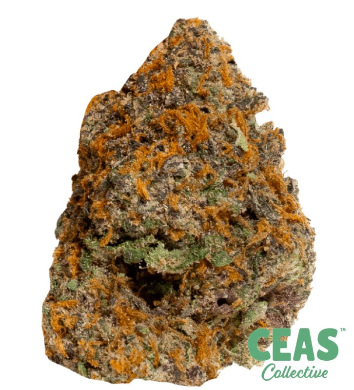 ZZTop - 3.5gPremium Flower - Sherbinskis