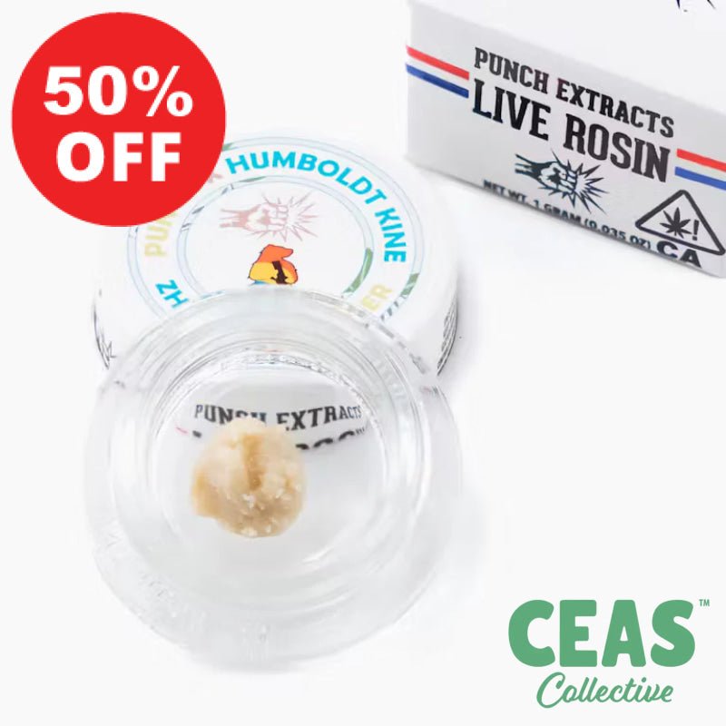 Zherbert - Tier 1  Badder - PUNCH