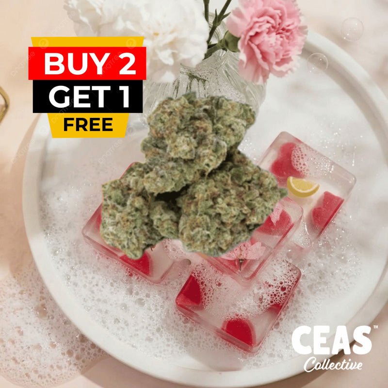 Zoap 7g - CEAS Exotics