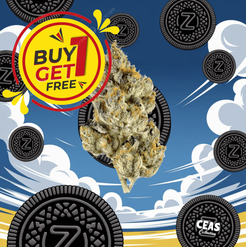 Zoreo Strain