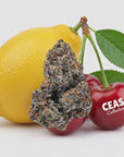 Lemon Cherry Gelato 7g - CEAS Exotics