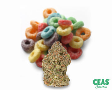 Fruit Loops