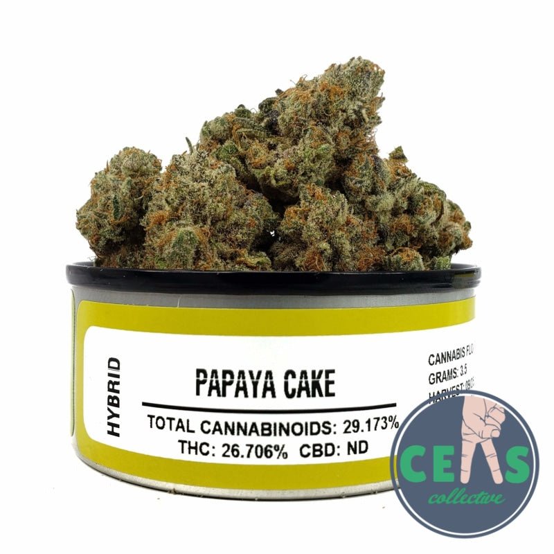 Papaya Cake - Space Monkey Meds