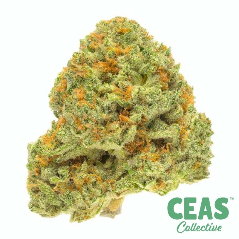 Crème Brûlée - Paris Cannabis Co.