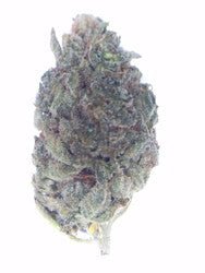 White Rhino